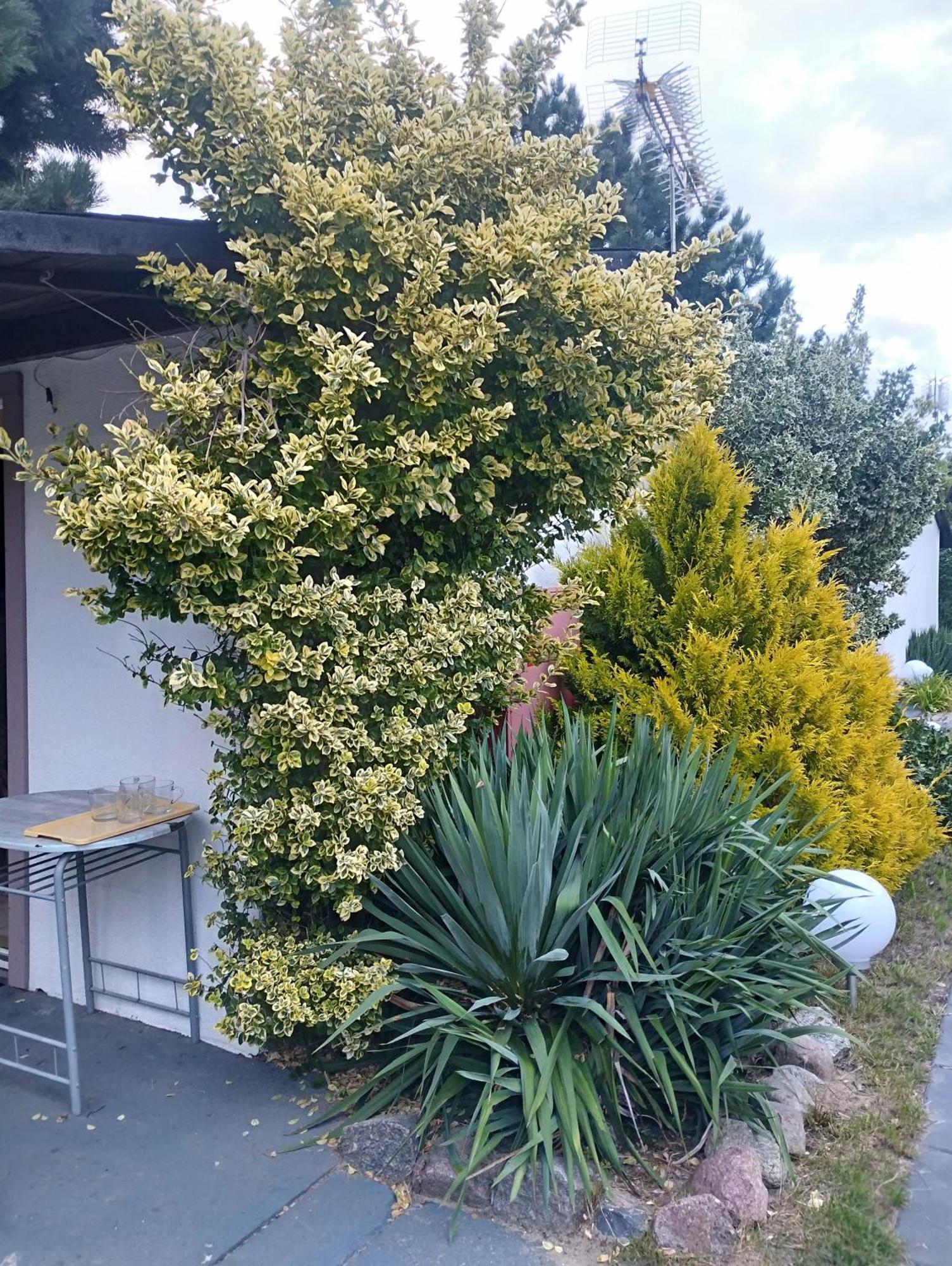 Domki 13-Nastka Miedzyzdroje Exteriér fotografie